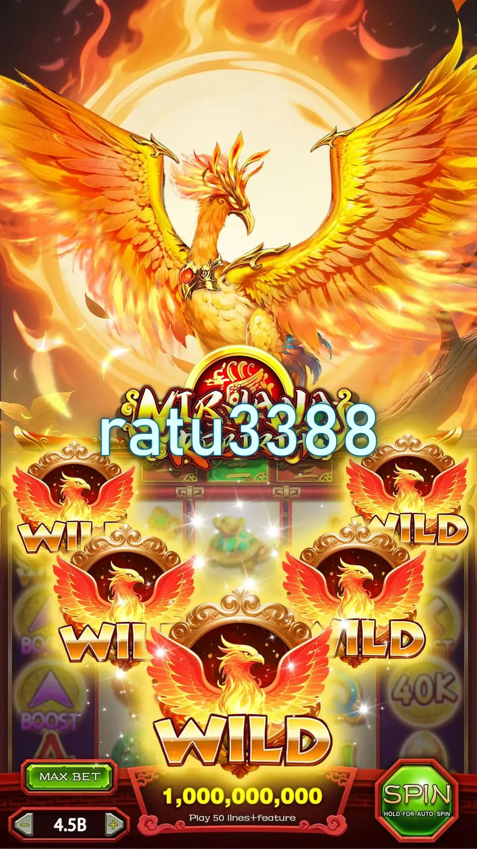 ratu3388 APK